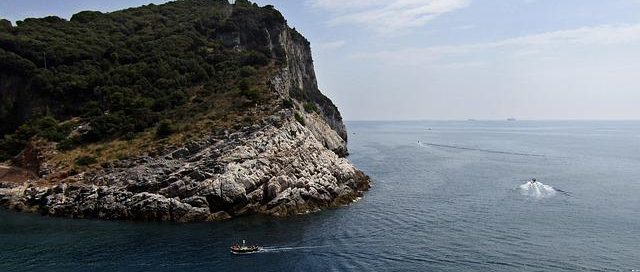 La storia dei Palmari: precursori degli smartphone