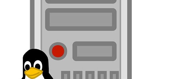 Guida ai sistemi operativi per server: Linux vs Windows