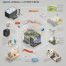 Guida ai protocolli domotici: Zigbee vs Z-Wave vs Matter spiegati